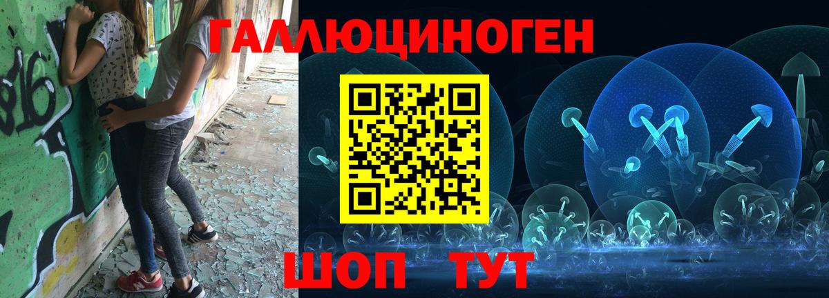 Галлюциногенные грибы мухоморы Сосновый Бор